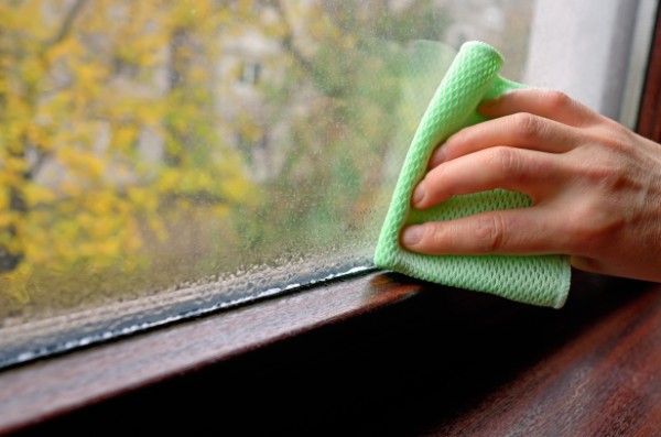 Cleaning window with rag.